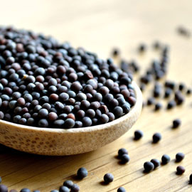 MUSTARD SEEDS
