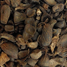 PALM KERNEL AND KERNEL SHELLS