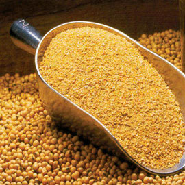 SOYBEAN MEAL